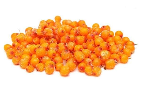 v-oblepikha-dikaya-zam-ves
